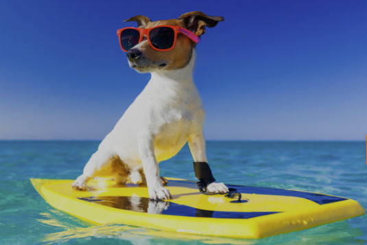 Screenshot 2025-03-21 at 14.53.06.png